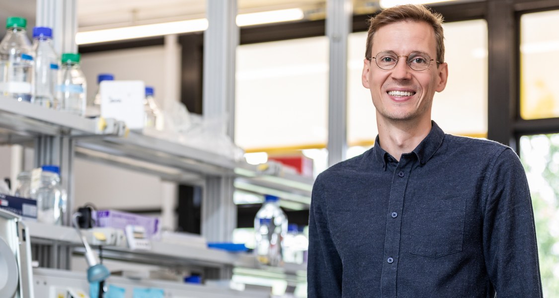 Prof. Dr. Christian Helker und seine Arbeitsgruppe untersuchen im Fachbereich Biologie die Entwicklungsschritte des Gefäßwachstums. Foto: Christian Stein