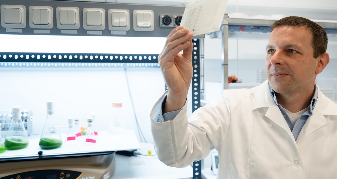 Forscher Felix Willmund im Labor mit Algenpräparaten