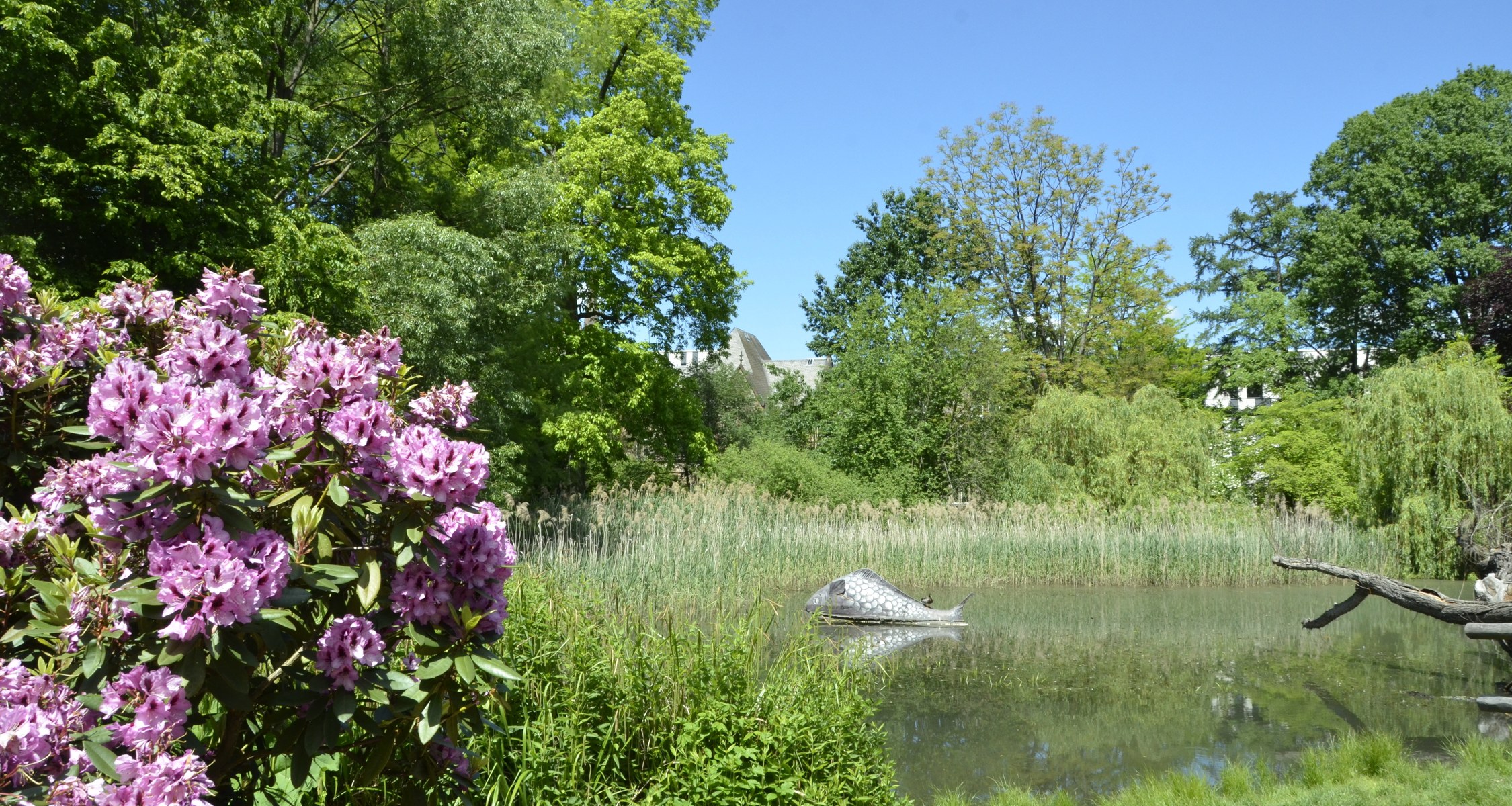 Überblick Überblick Botanischer Garten Philipps