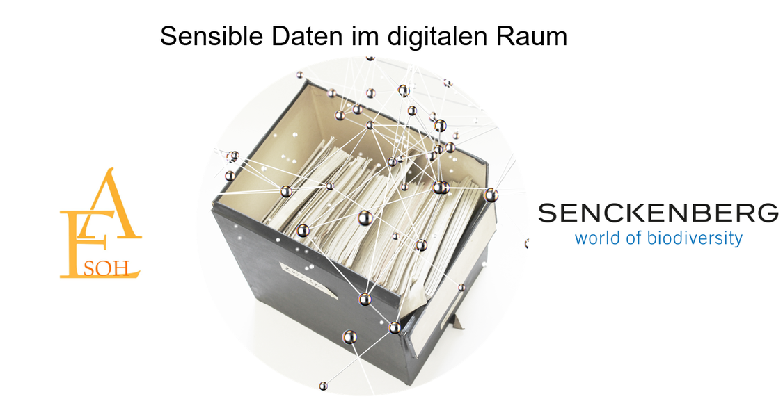 Symbolbild des Workshops Sensible Daten im digitalen Raum: Links: das Logo des Projekts; mittig: ein Karton mit Archivalien umgeben von einem Netz; rechts: das Logo der Senckenberg Gesellschaft für Naturforschung.