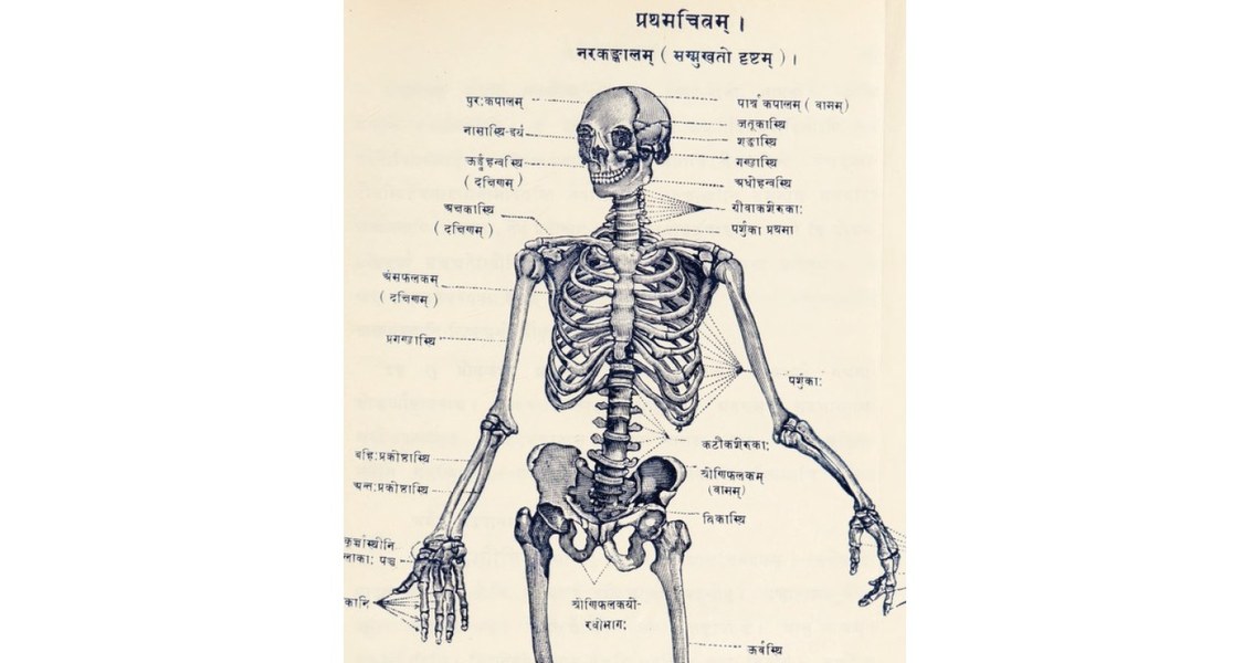 Ausschnitt aus dem Anatomie-Lehrbuch von Gananath Sen (1913).