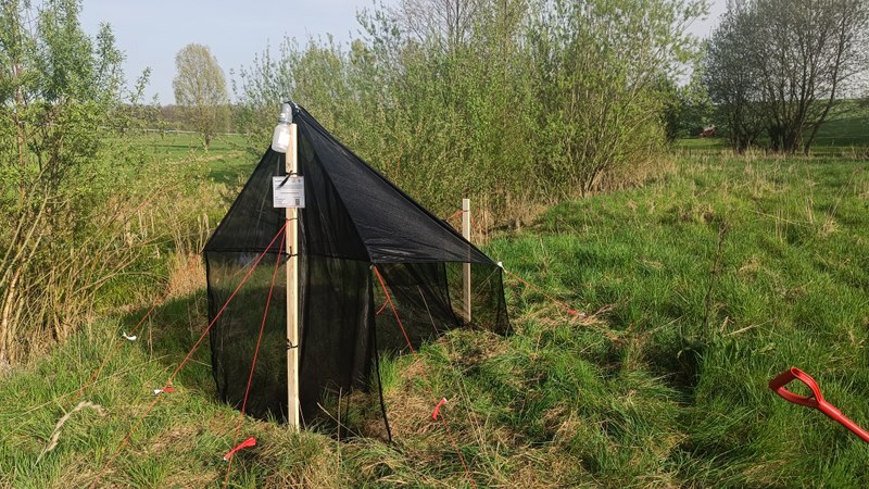 Photo of a Malaise trap for sampling flying insects placed between a small stream and a meadow.