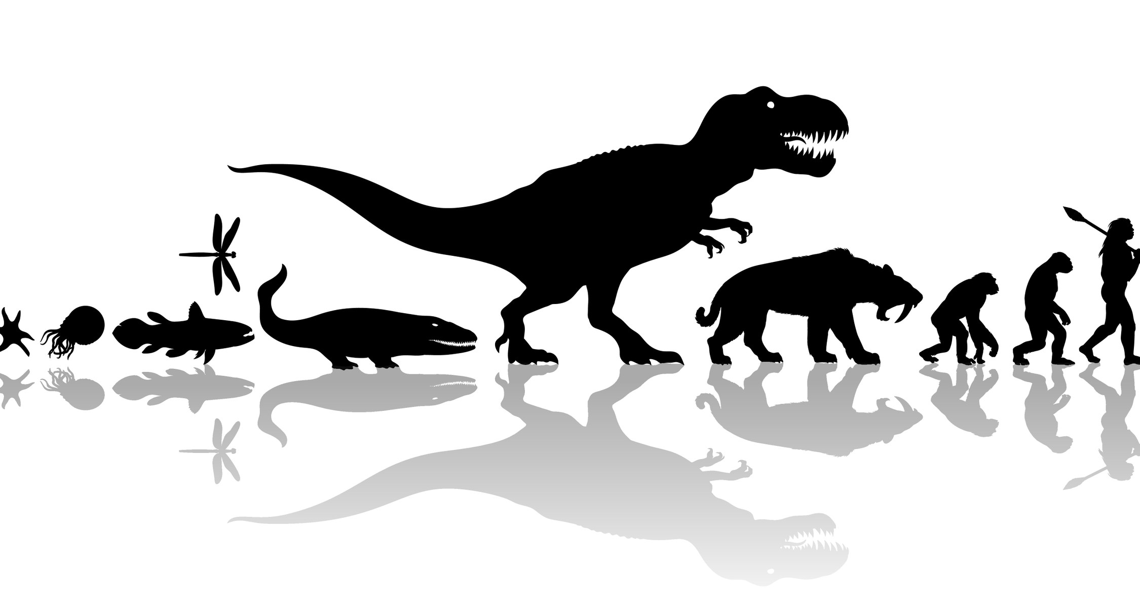 Эволюция от динозавра до человека