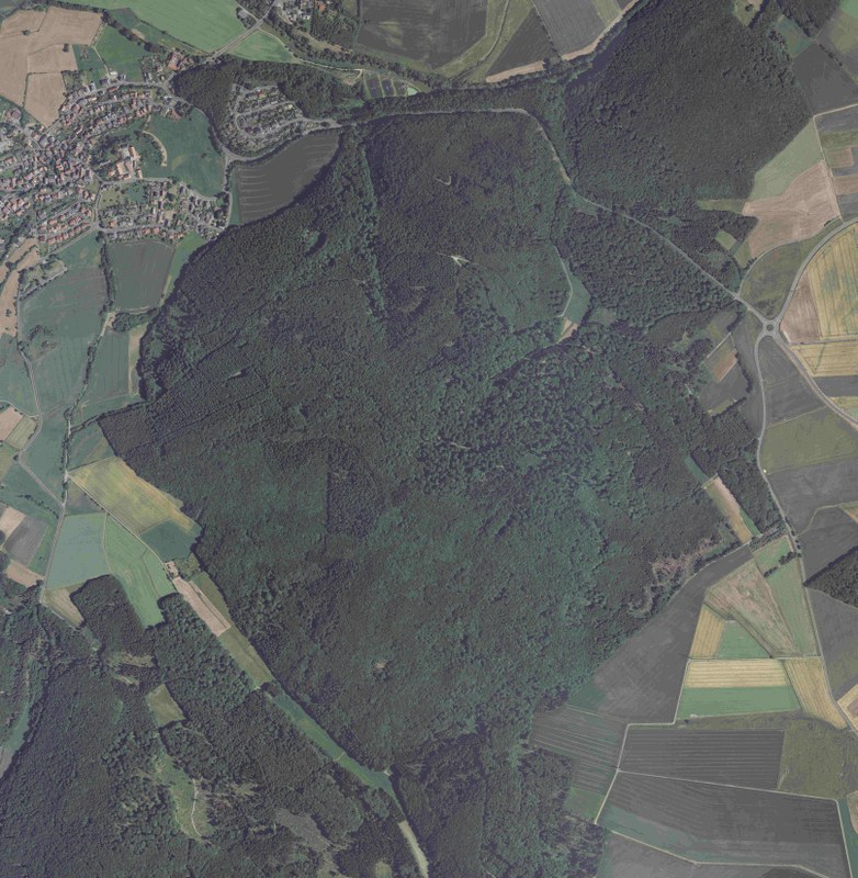 Digitales Luftbild des Marburg Open Forest aus dem Jahr 2010