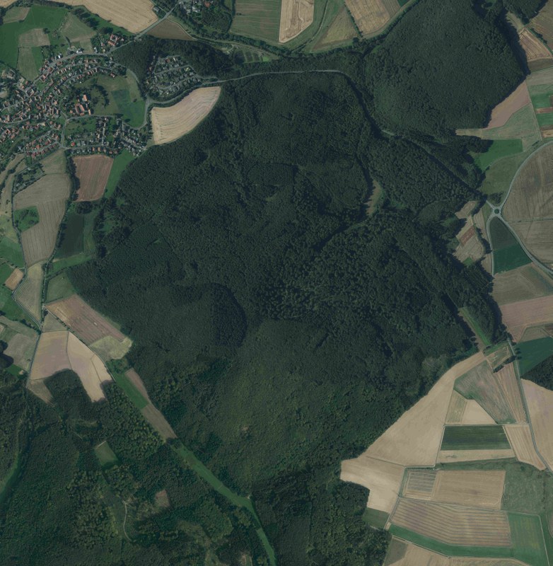 Digitales Luftbild des Marburg Open Forest aus dem Jahr 2012