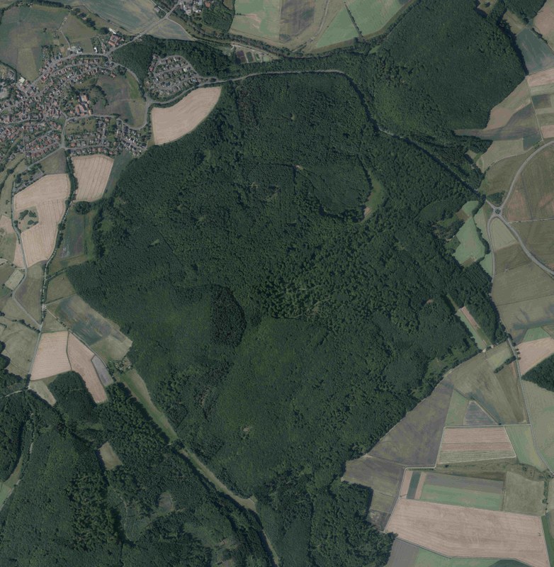 Digitales Luftbild des Marburg Open Forest aus dem Jahr 2015