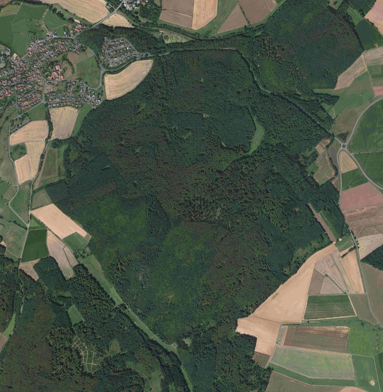 Digitales Luftbild des Marburg Open Forest aus dem Jahr 2016