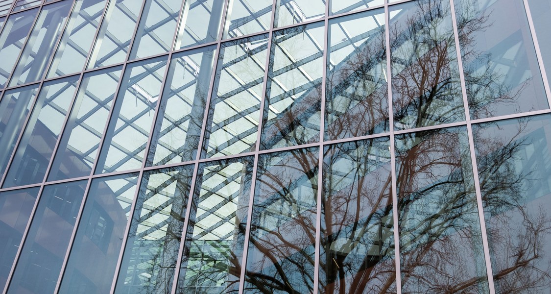 Baumspiegelung auf Glasfassade der Universitätsbibliothek