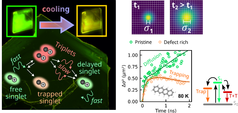 Schematic of the presumed exciton dynamics in tetracene single crystals: There is a dynamic equilibrium between singlet and triplet excitons, which has a significant influence on the diffusion of optical excitations. This can be examined in more detail by measuring the area of the luminescence profile as a function of time and at different temperatures, as shown on the right (see Muth et al.).