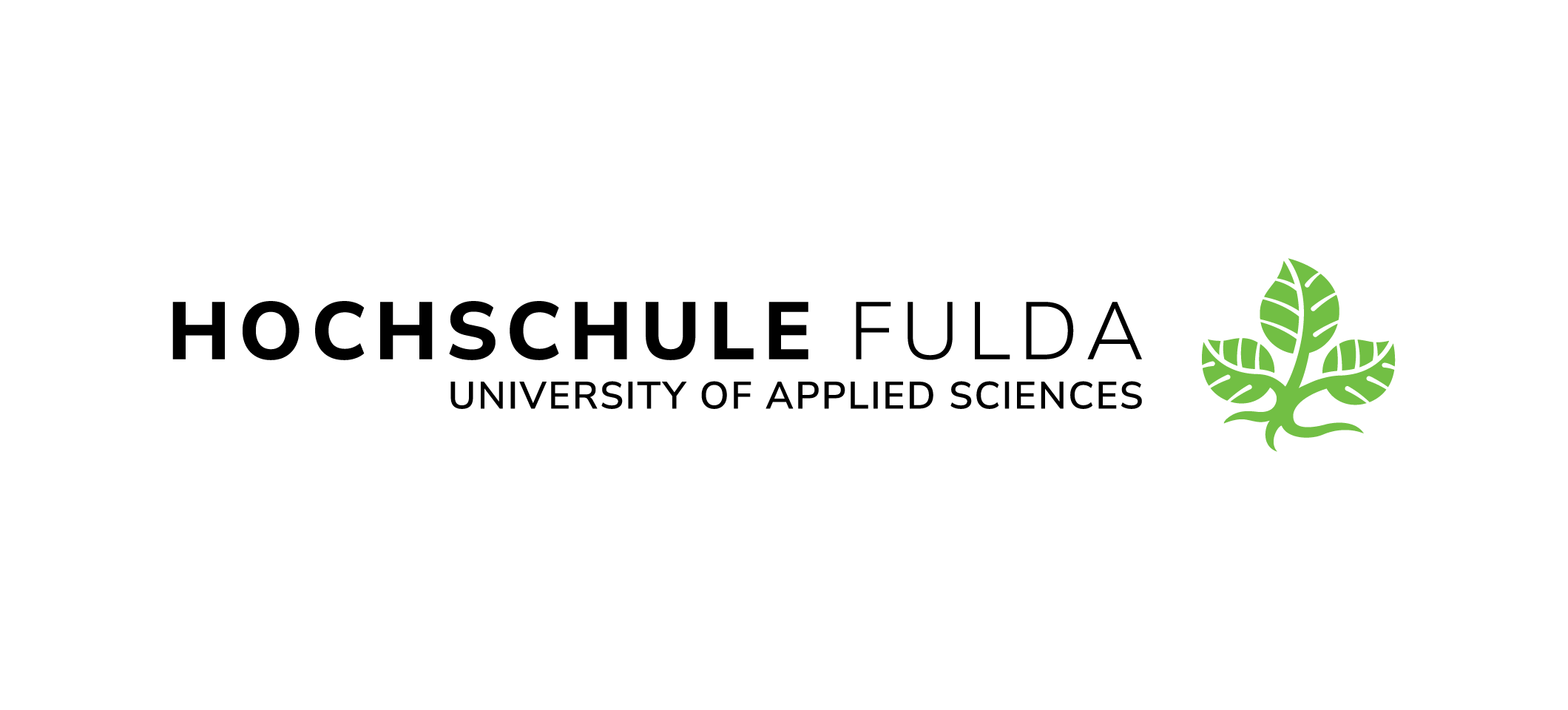 Hochschule Fulda