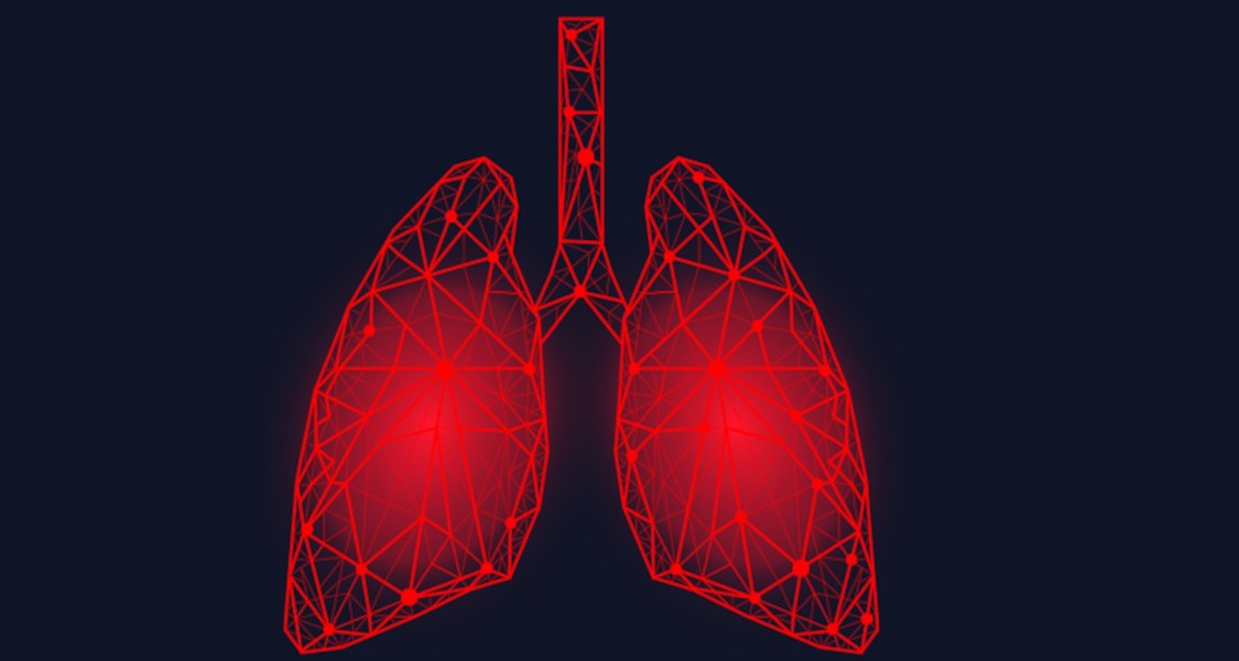 Illustration of the lung