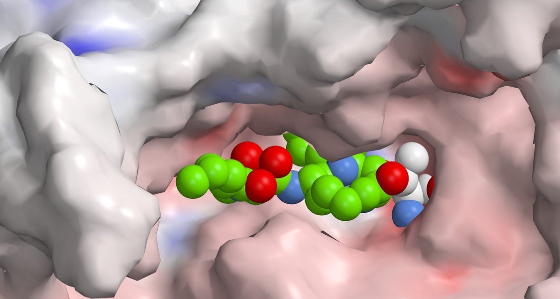 computer model of molecular structures